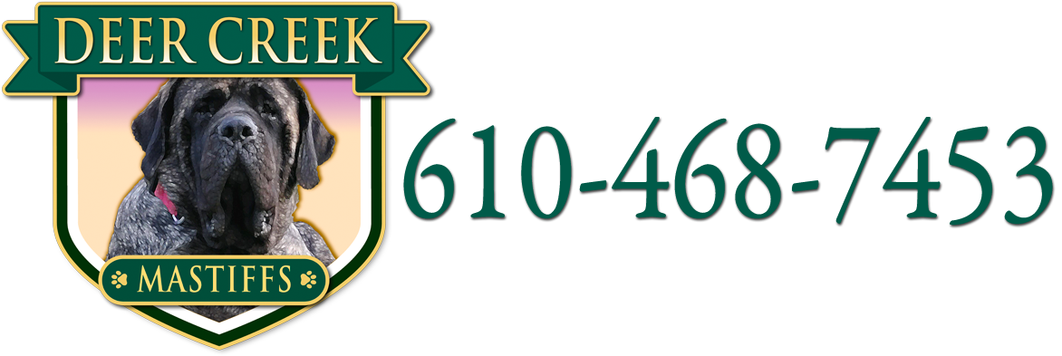 Deer Creek Mastiffs Mastiff Breeder in New Park, PA