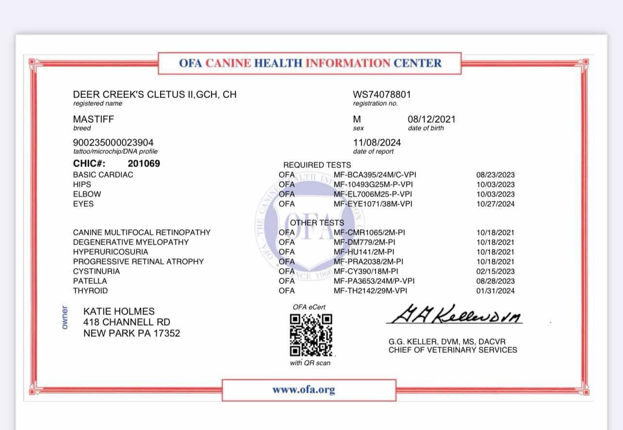 OFA CHIC certificate