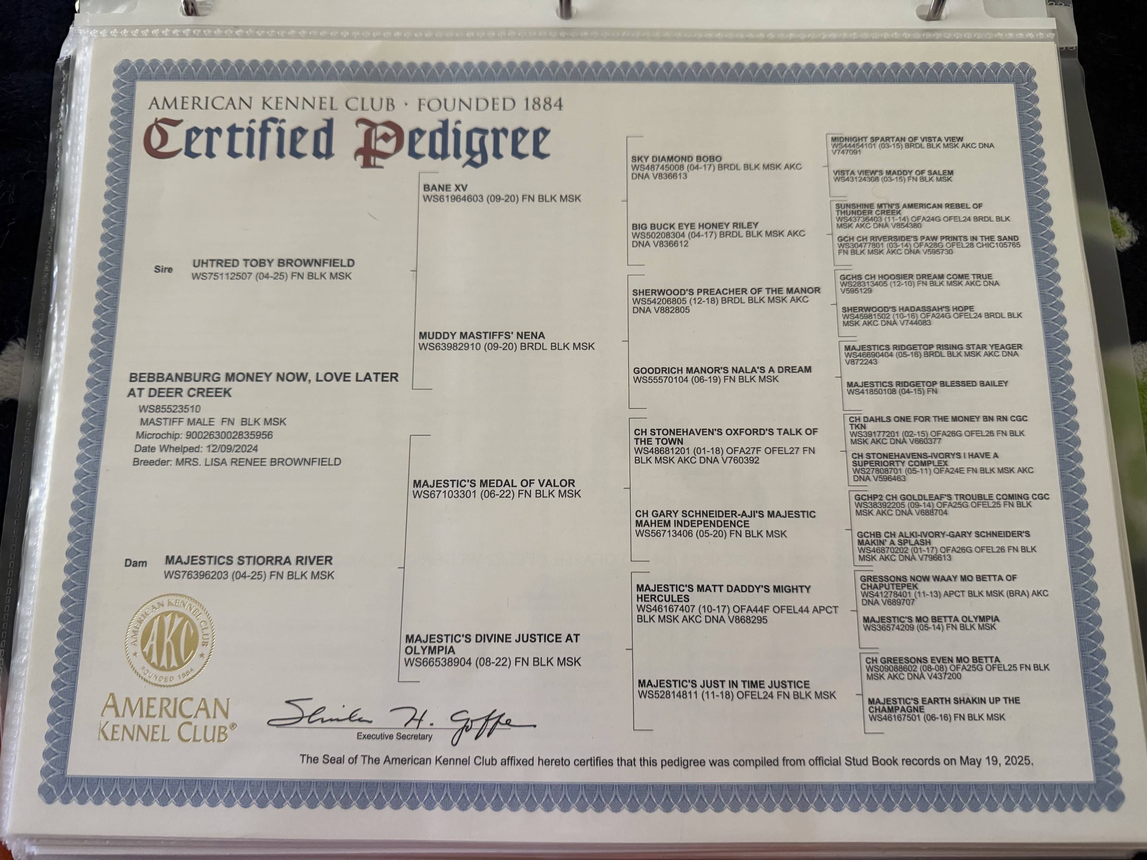 AKC Certified Pedigree, compiled May 19, 2025