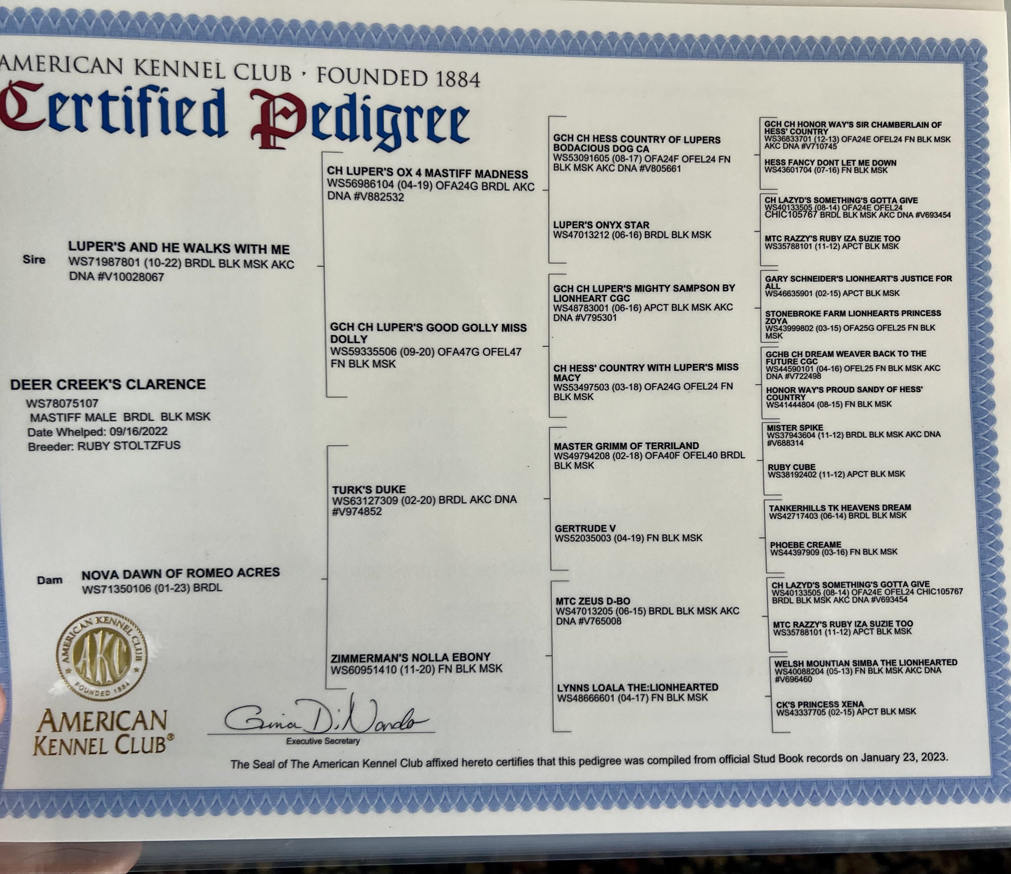 AKC Certified Pedigree, compiled January 23, 2023