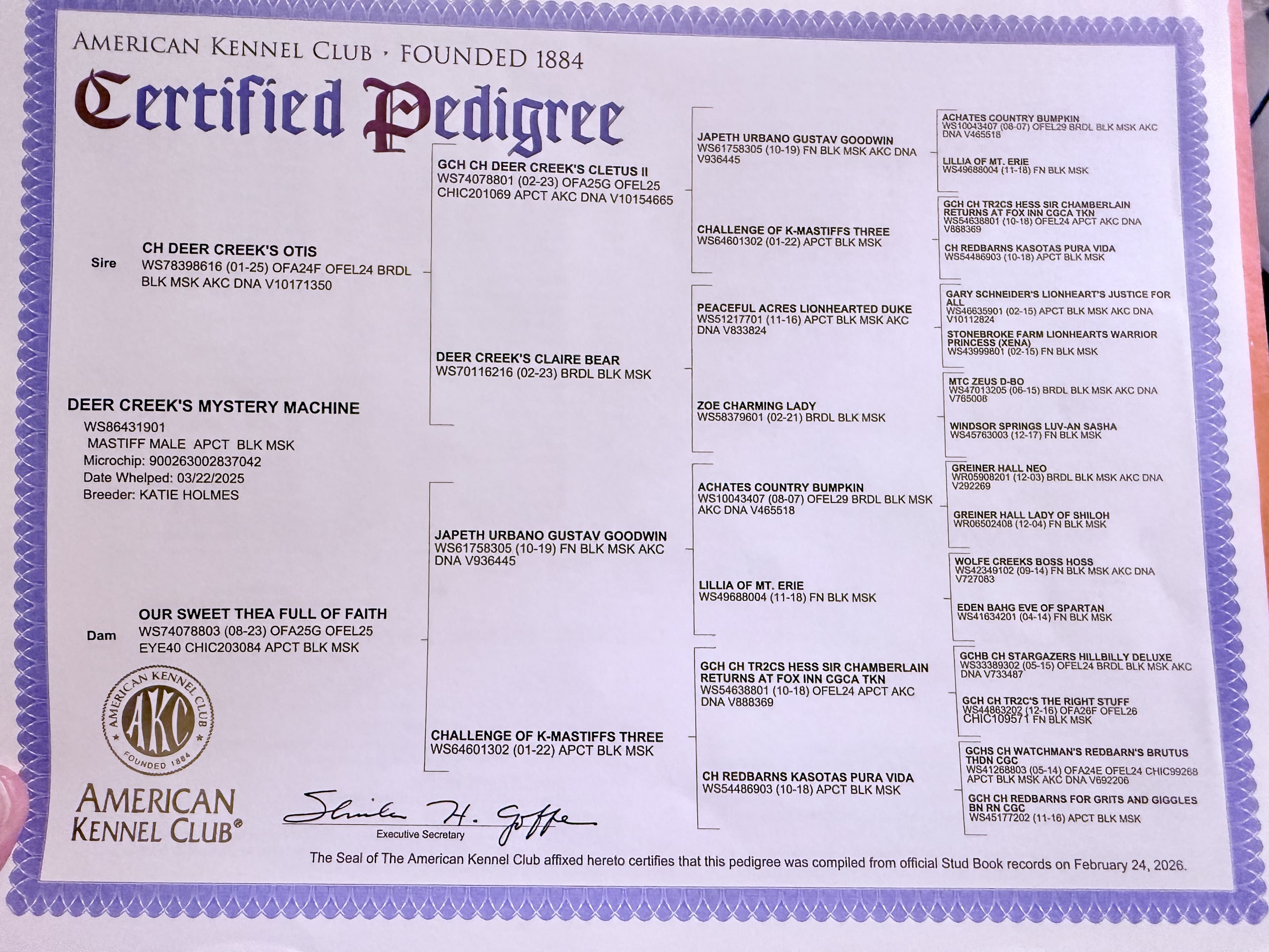 AKC Certified Pedigree for Deer Creek’s Mystery Machine