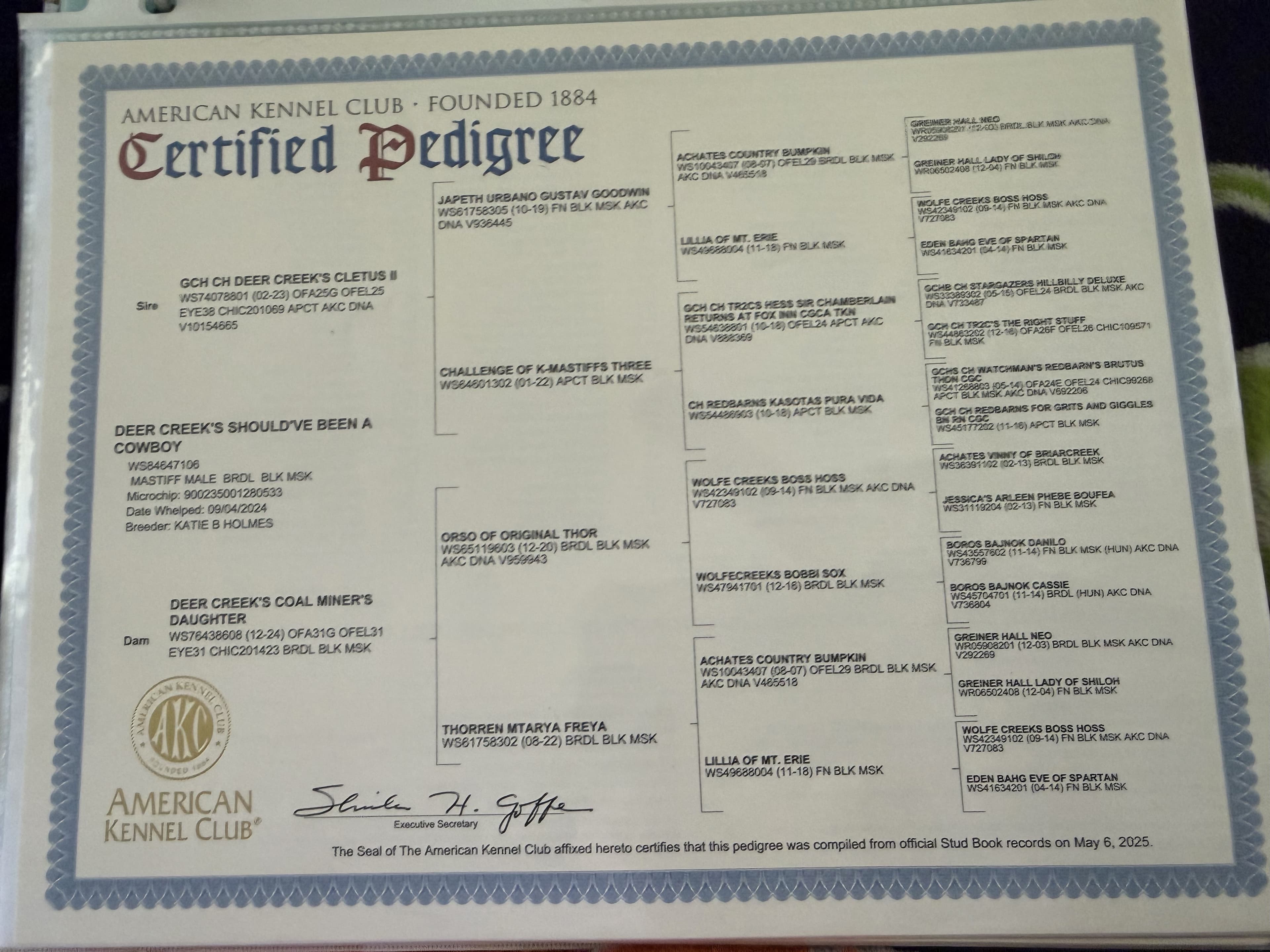 AKC Certified Pedigree, compiled May 6, 2025