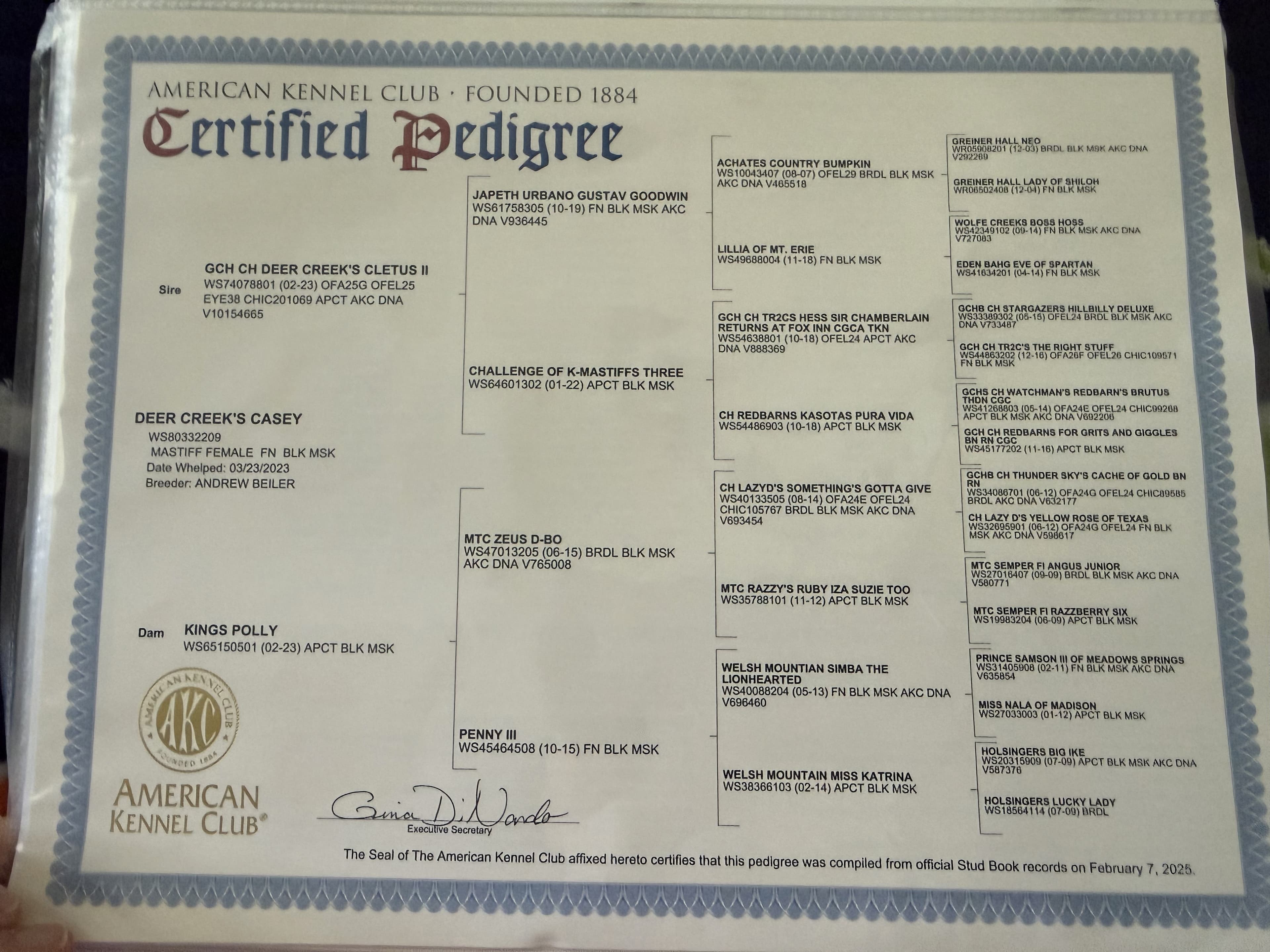 AKC Certified Pedigree, compiled February 7, 2025