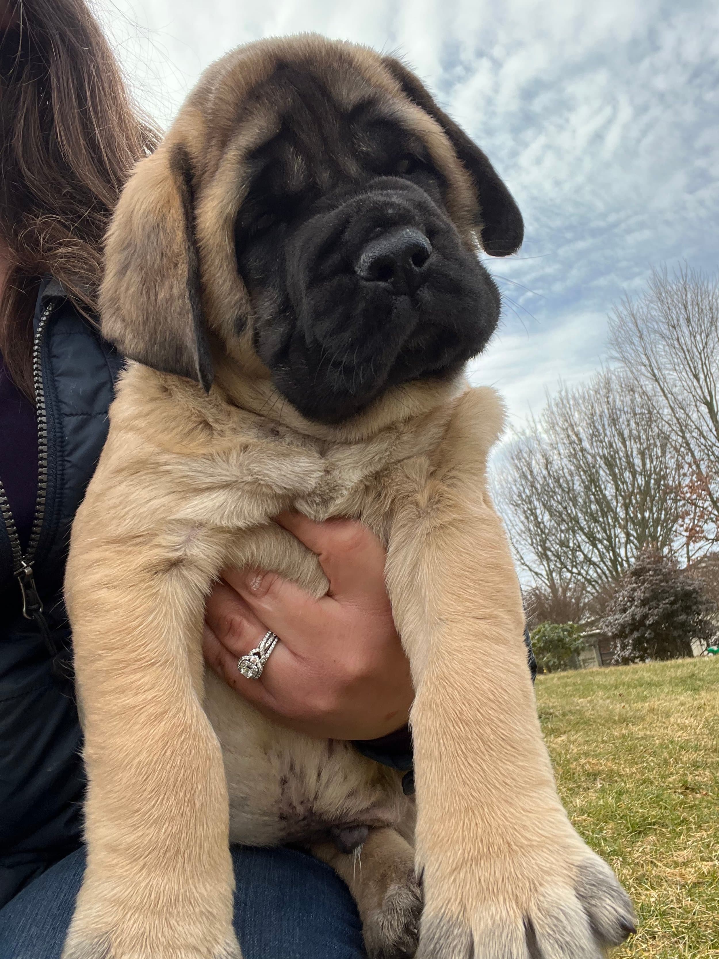 Wally - Image 1 of 2