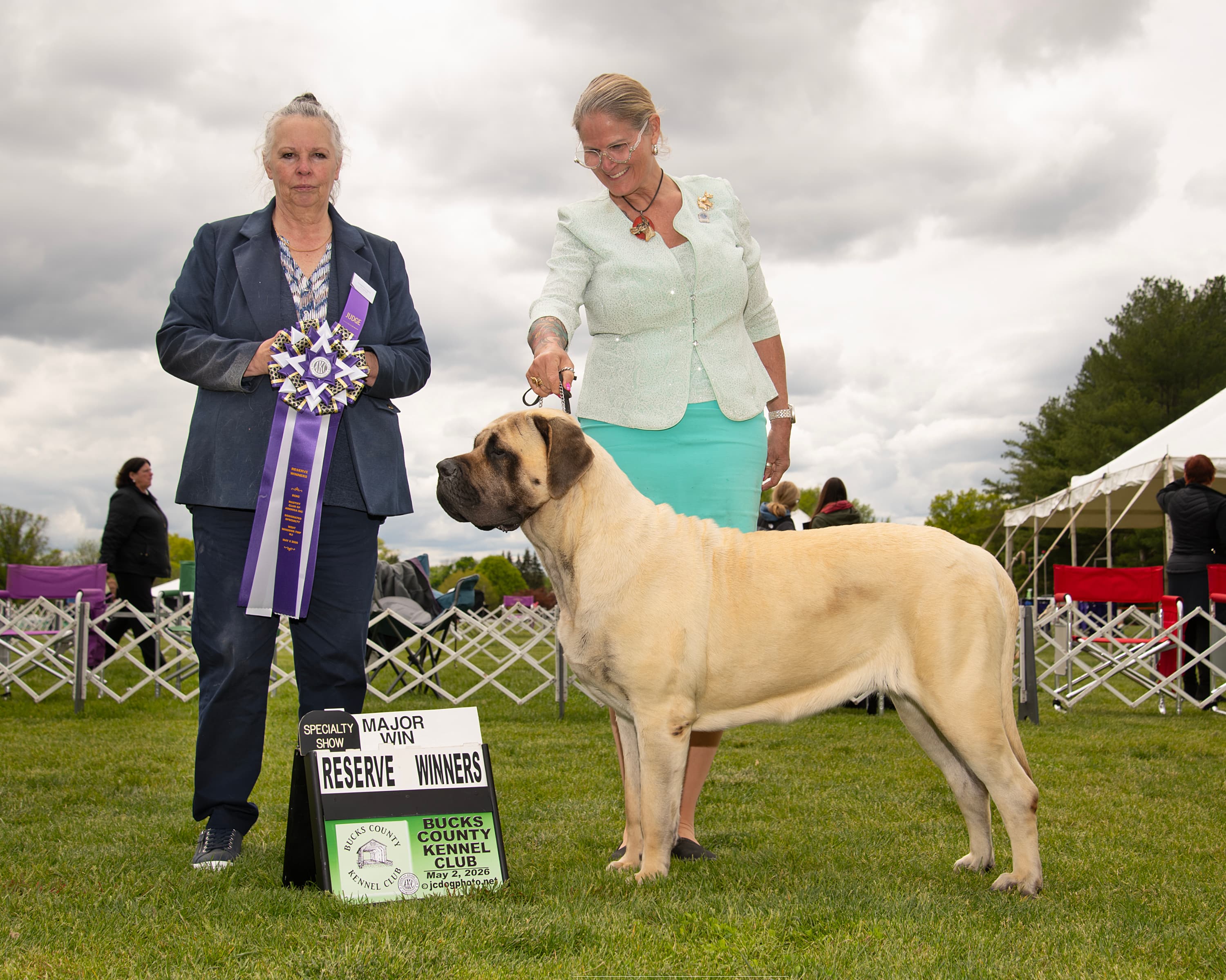 Champion Bebbanburg Better at Runnin Than Robbin @DeerCreek "Bonnie" - Image 2 of 3