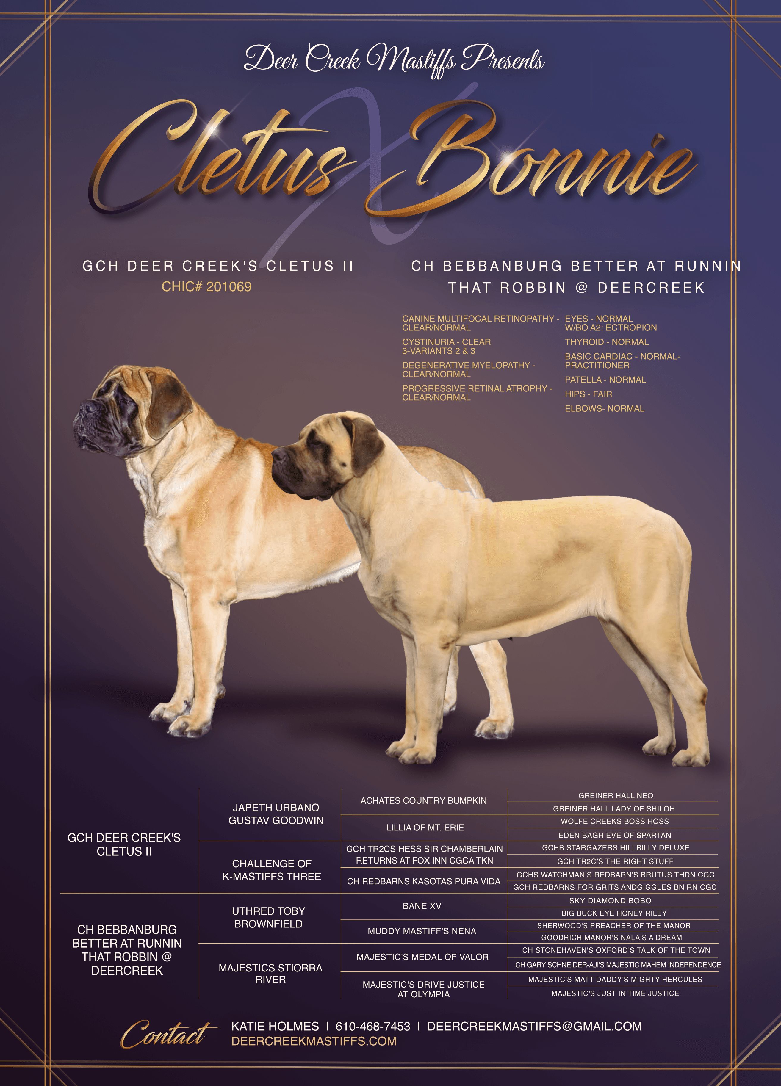 Cover photo for Cletus × Bonnie — Due November 9, 2026