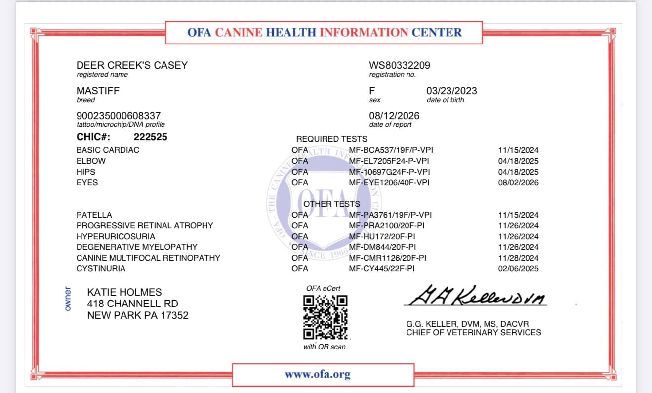 Deer Creek's Casey "Casey" health testing certificate