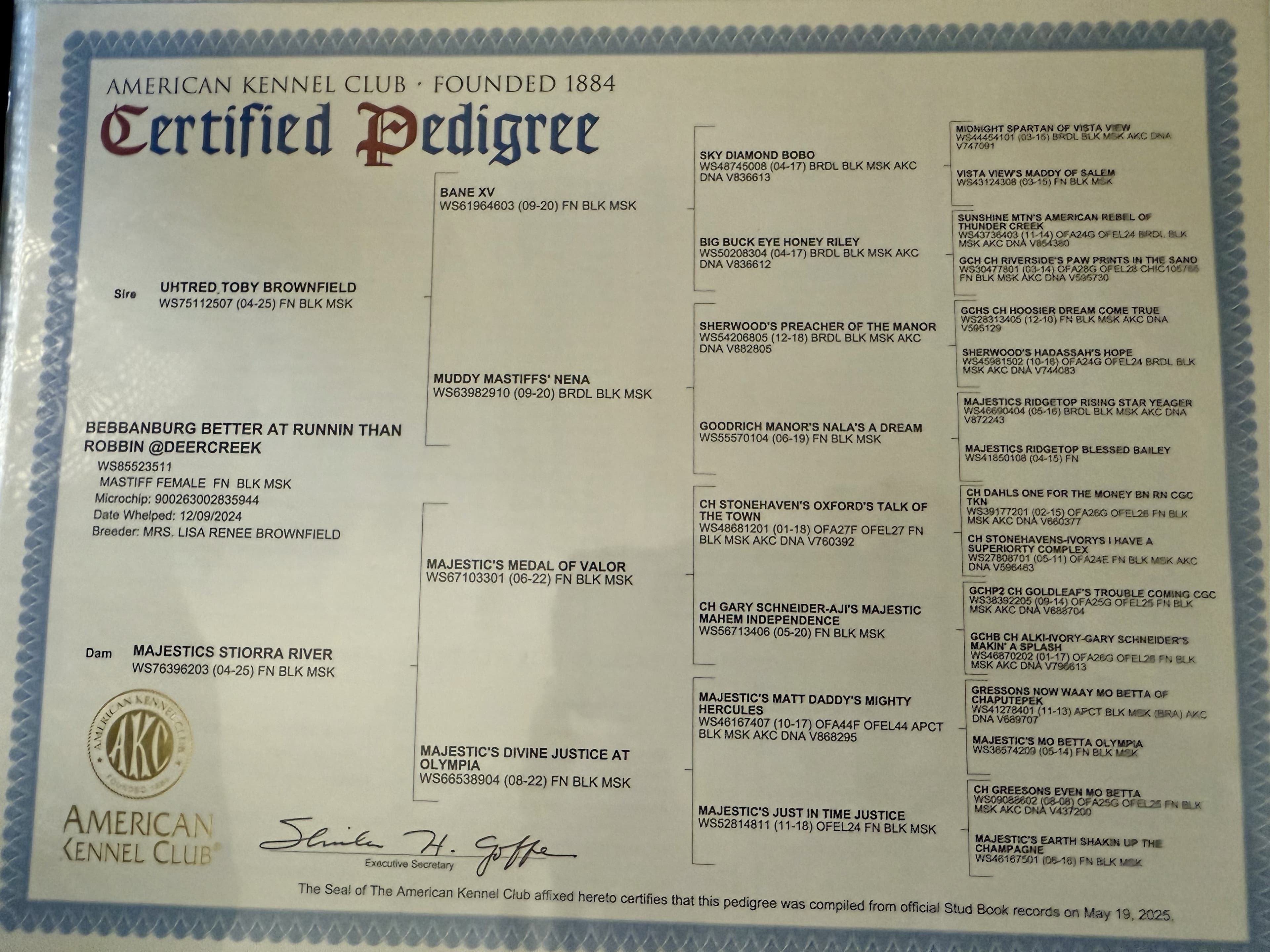 AKC Certified Pedigree, compiled May 19, 2025