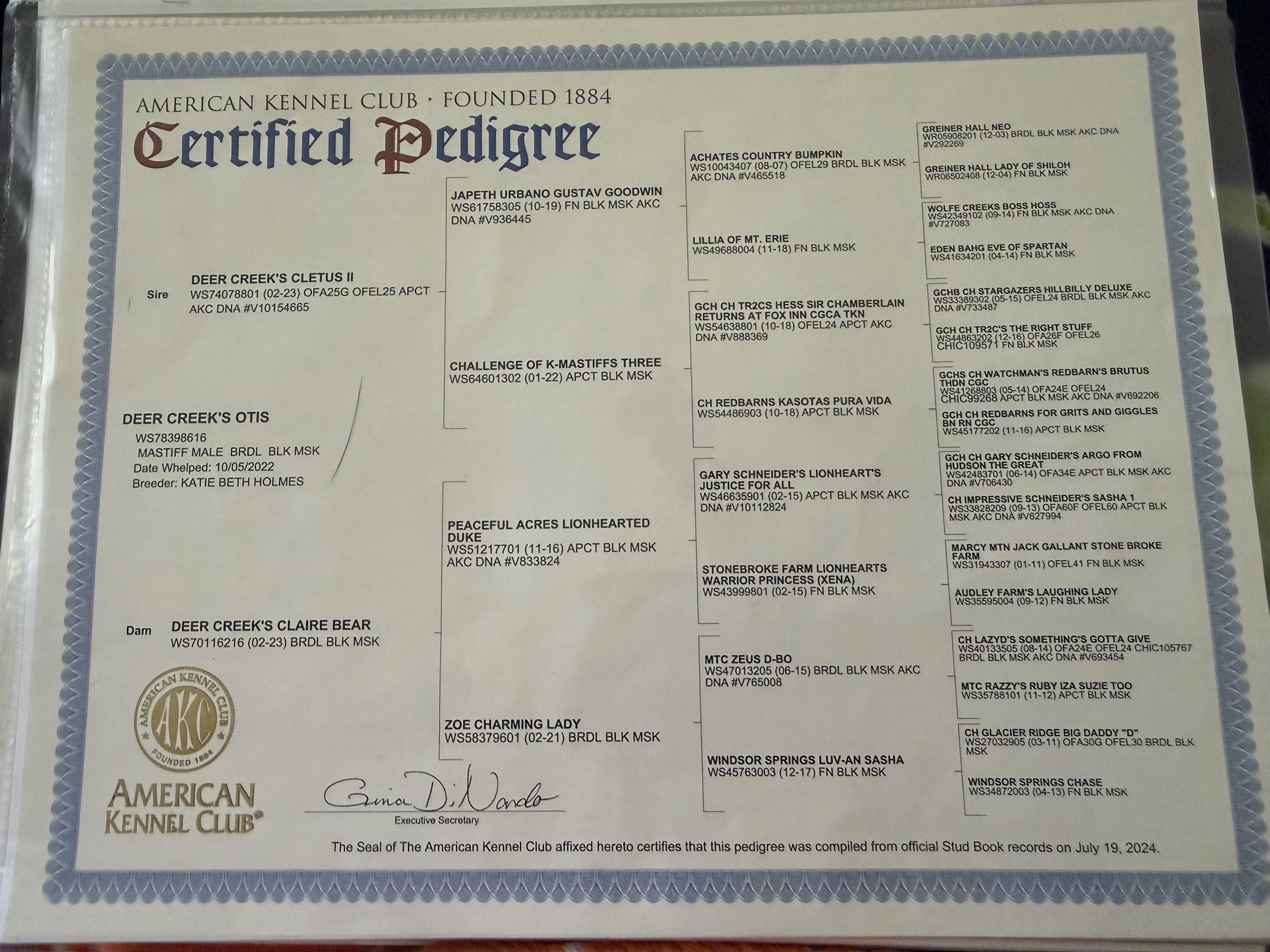 AKC Certified Pedigree, compiled July 19, 2024