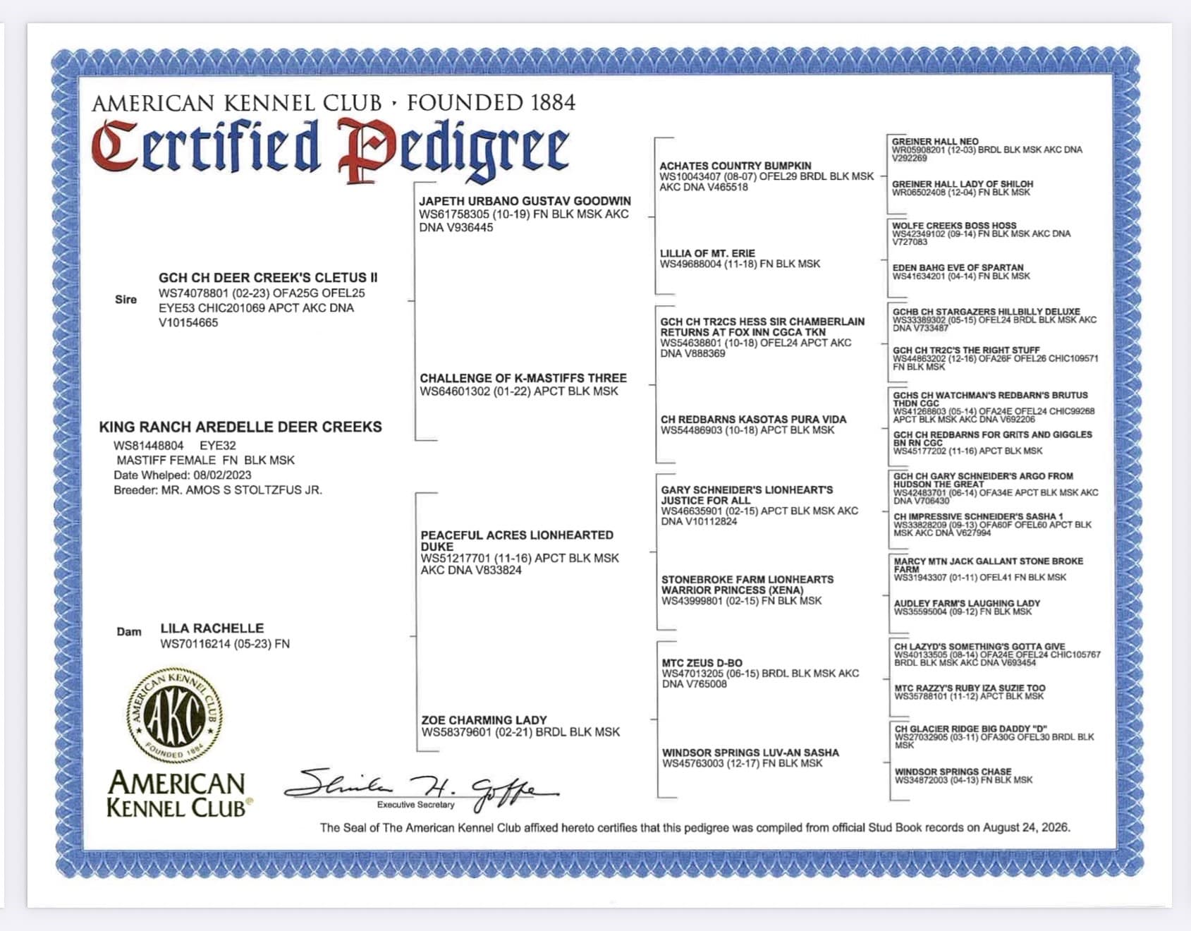 AKC certified four-generation pedigree for Della