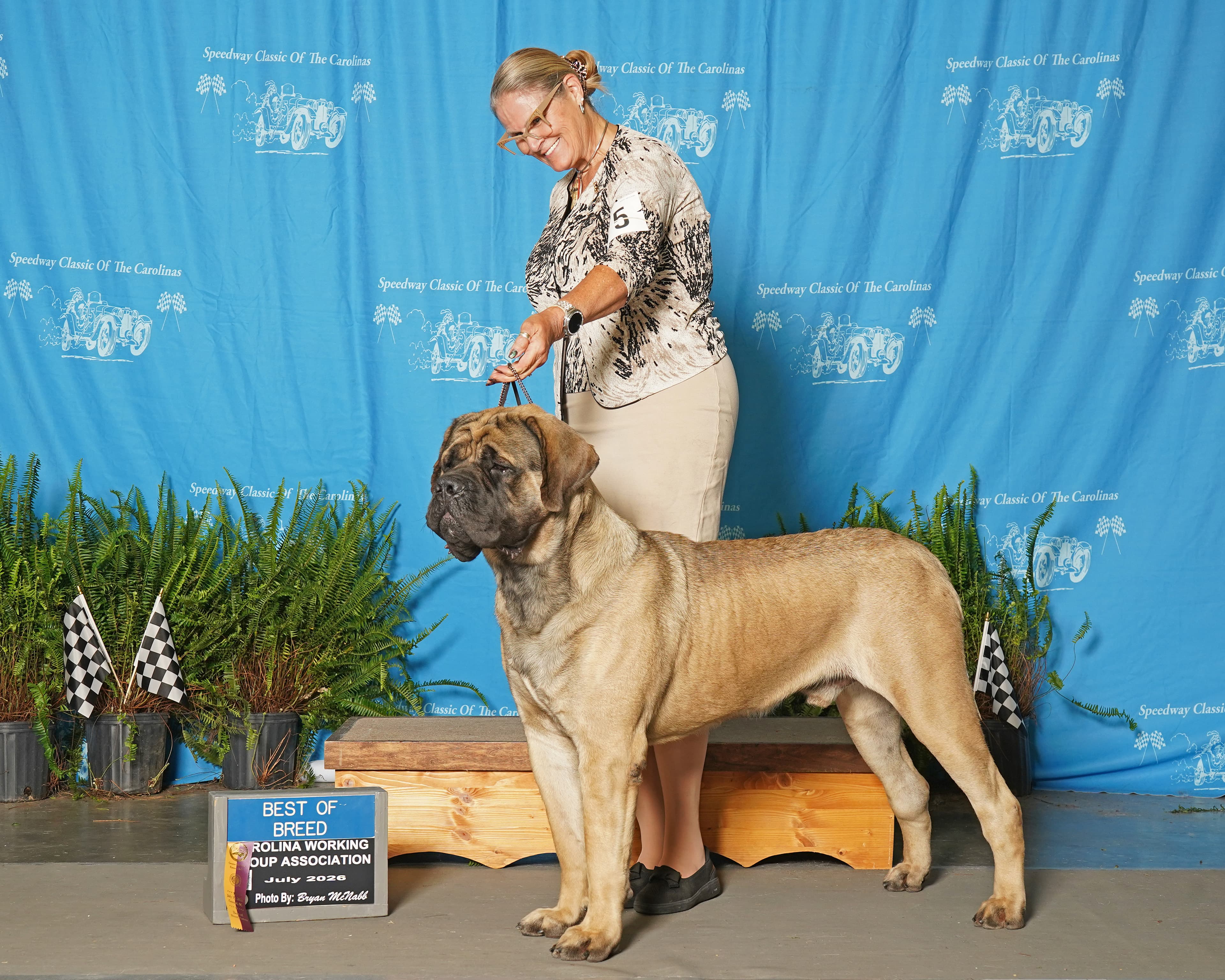 Photo of Deer Creek's Leader of the Pack at Cedar Hill "Ryder", sire of Molly x Ryder Fall 2026