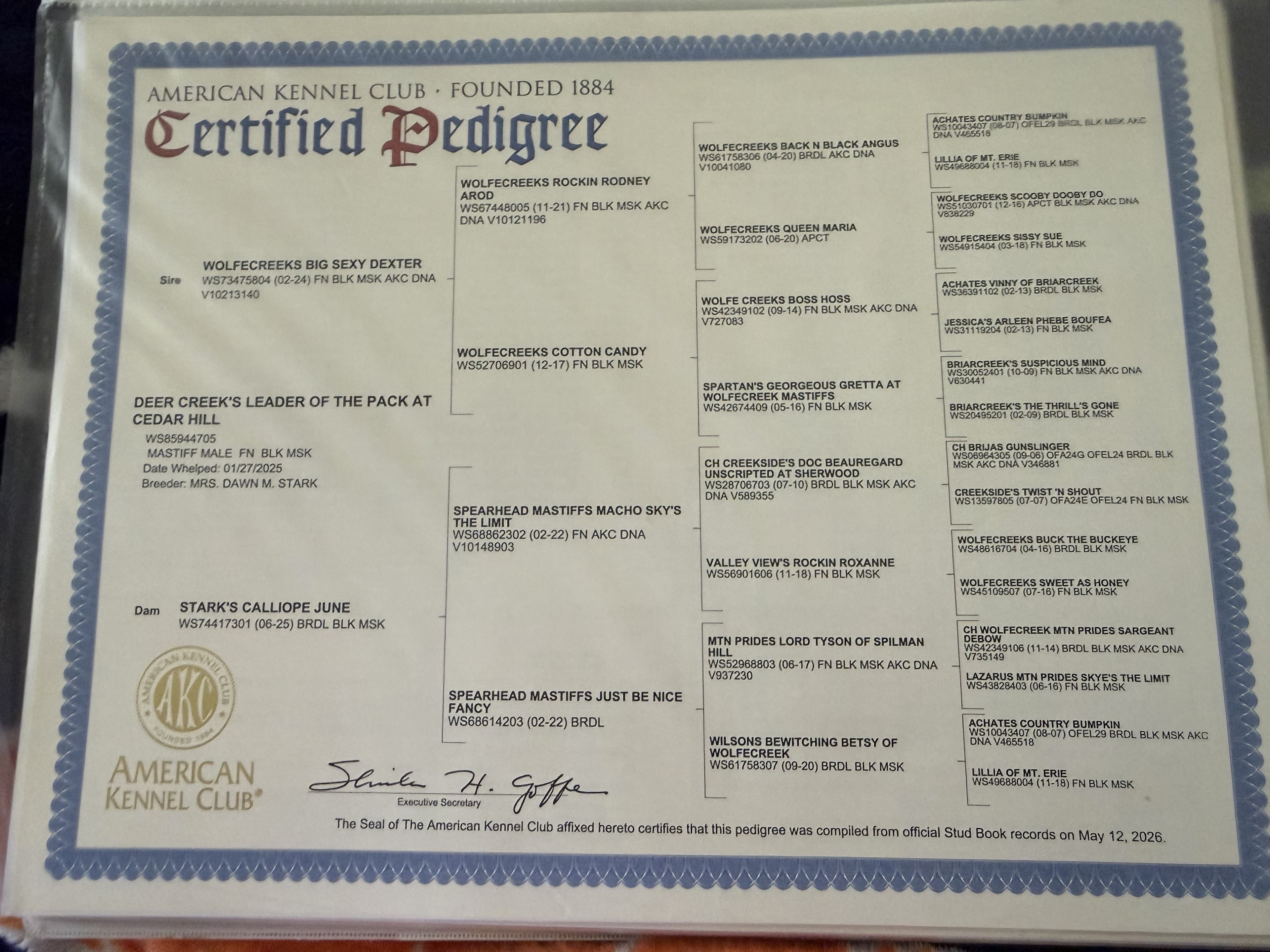 AKC Certified Pedigree, compiled May 12, 2026