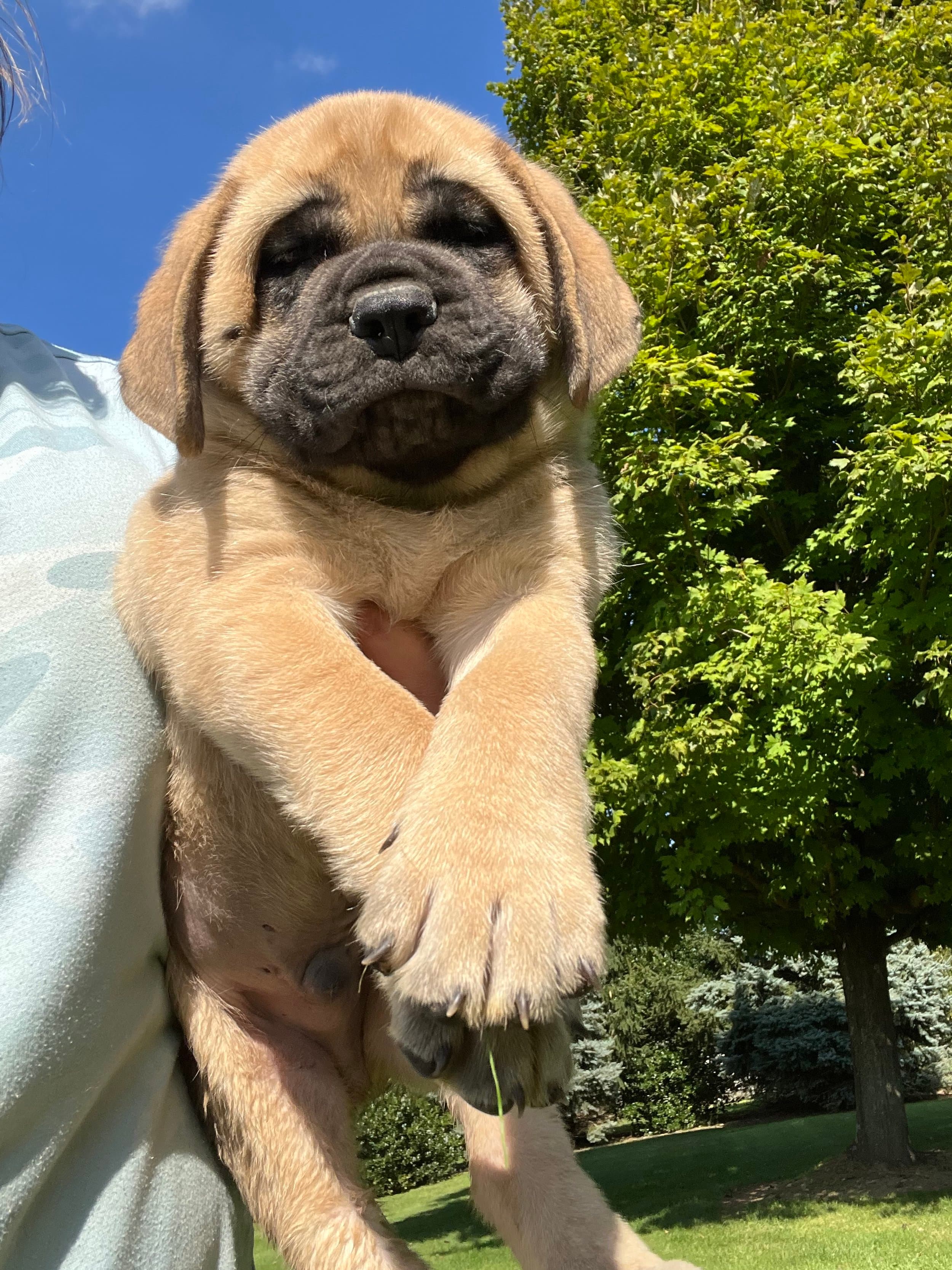 Tank - Image 11 of 11