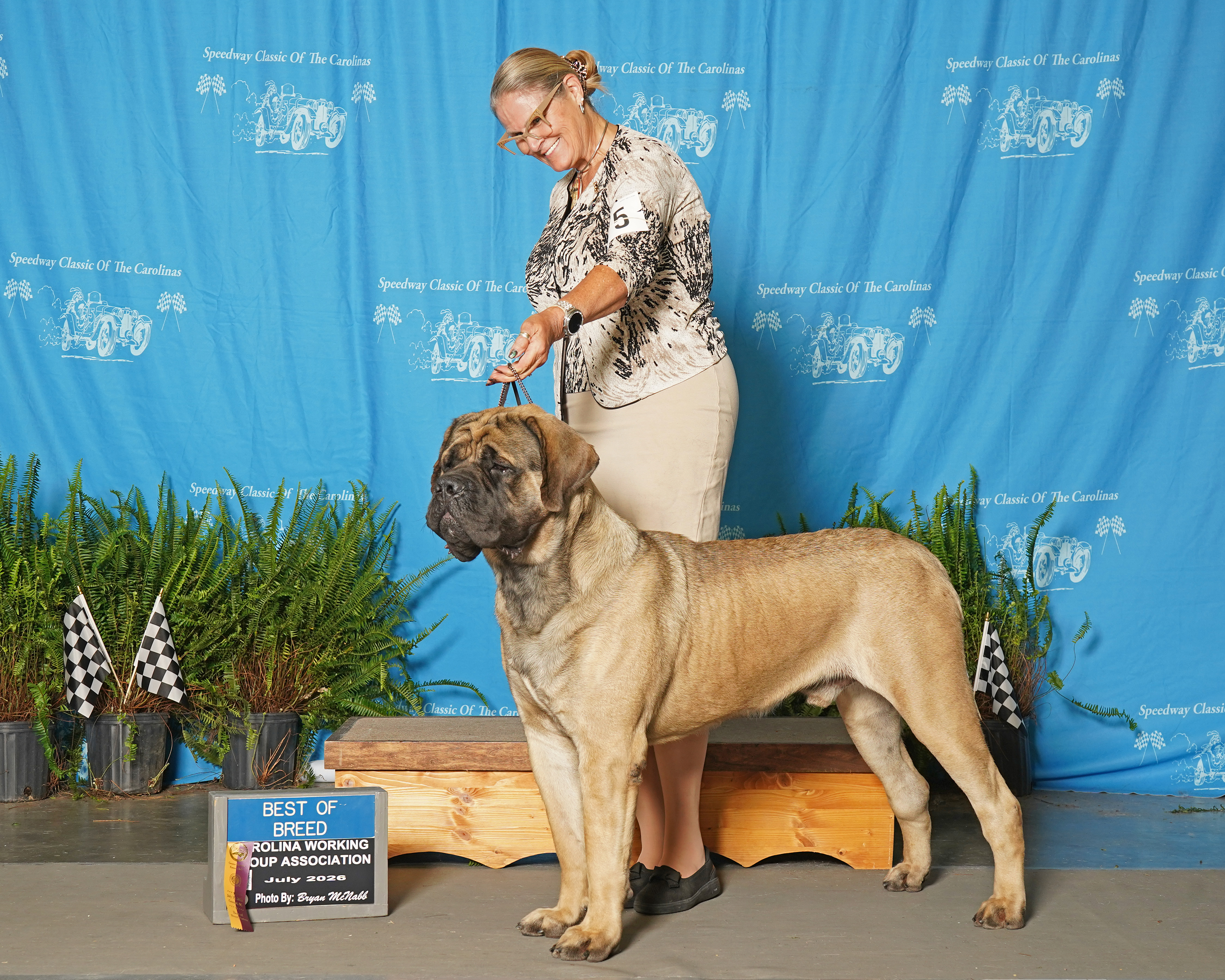 Photo of Deer Creek's Leader of the Pack at Cedar Hill "Ryder", sire of Molly x Ryder Fall 2026