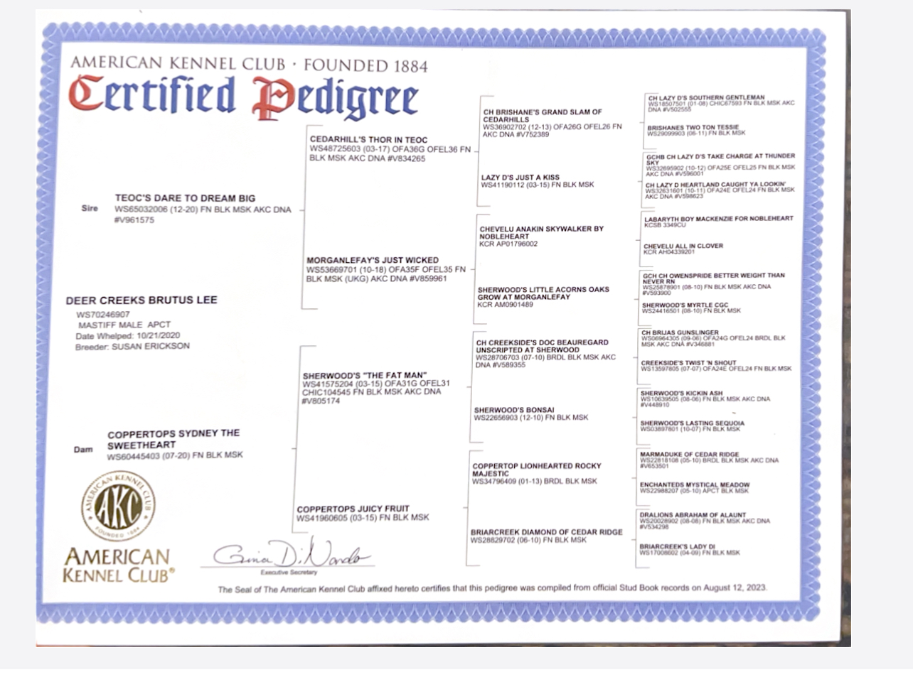 Deer Creeks Brutus Lee "Brutus" - Image 5 of 6