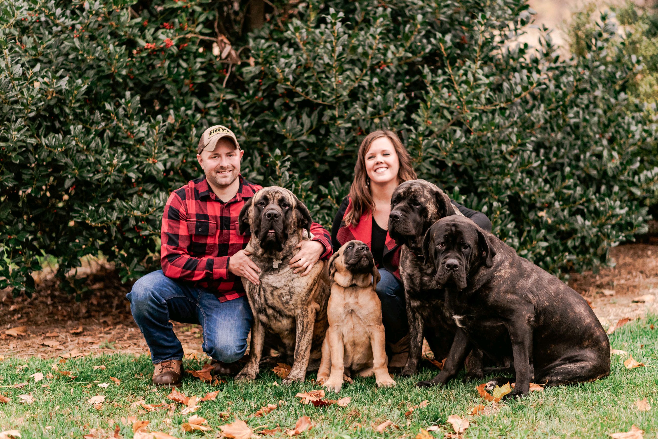 Deer Creek's Claire Bear "Claire" — In Loving Memory - Image 15 of 23