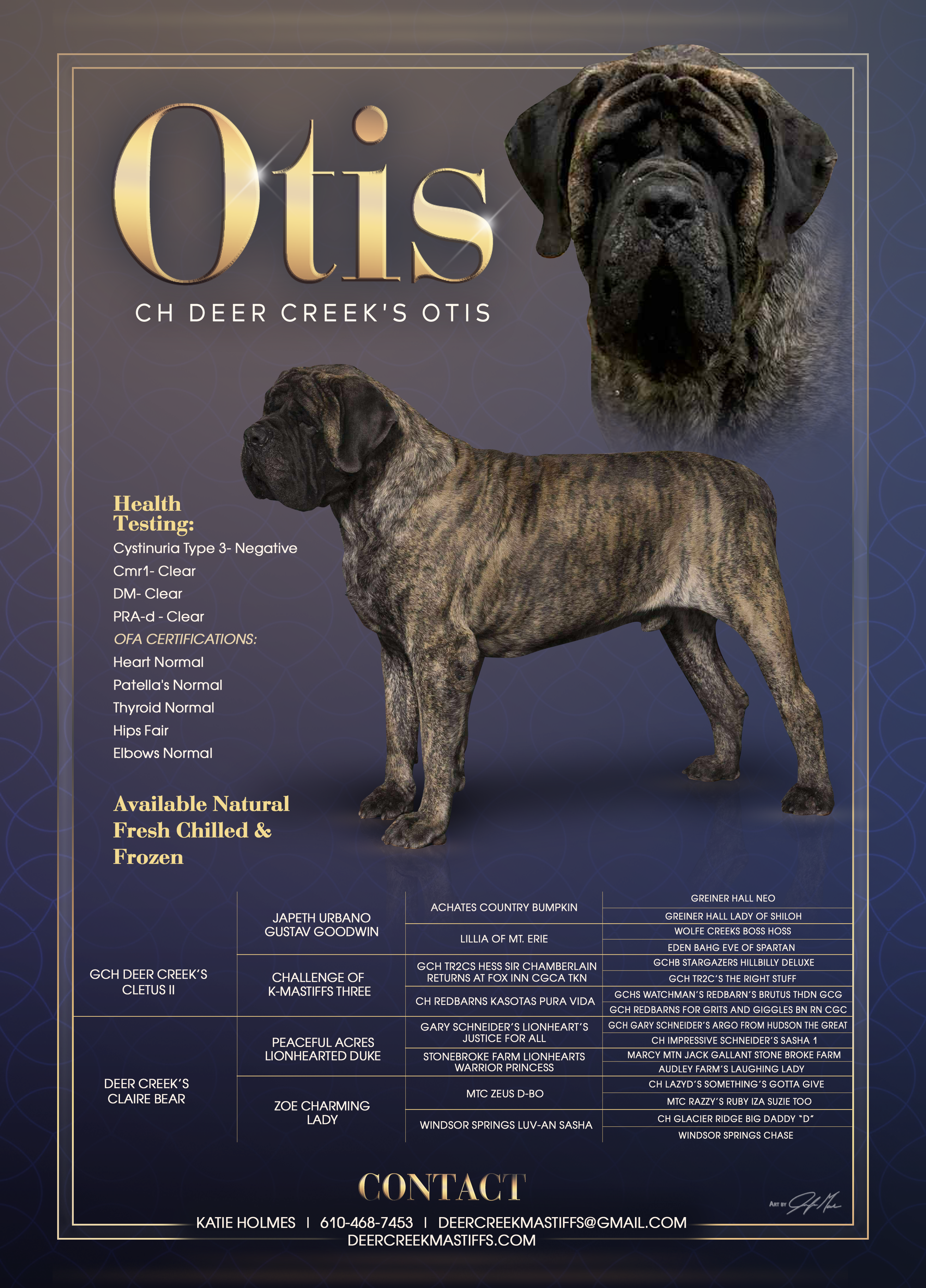 CH Deer Creek's Otis "Otis" - Image 3 of 10