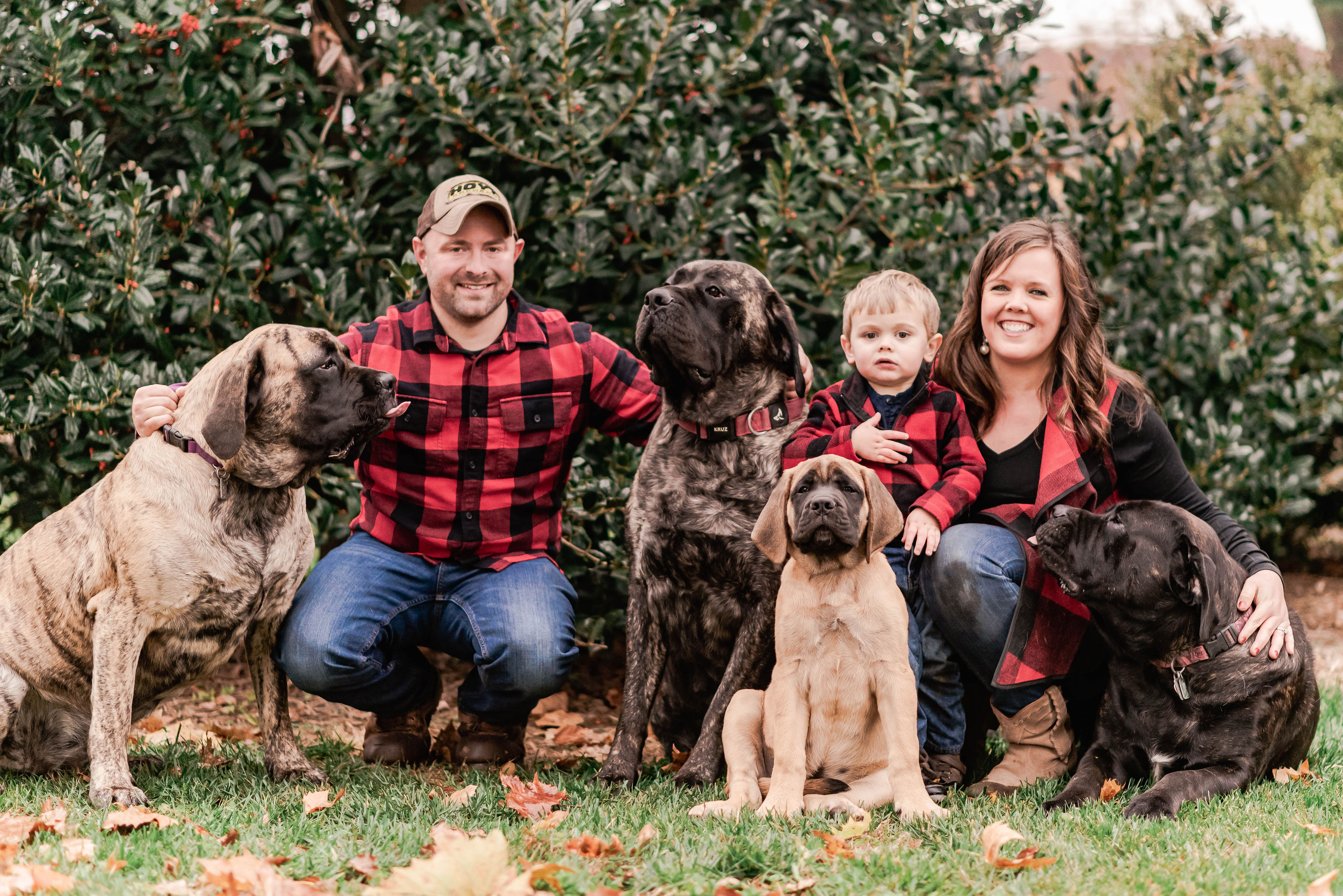 Deer Creek's Claire Bear "Claire" — In Loving Memory - Image 13 of 23