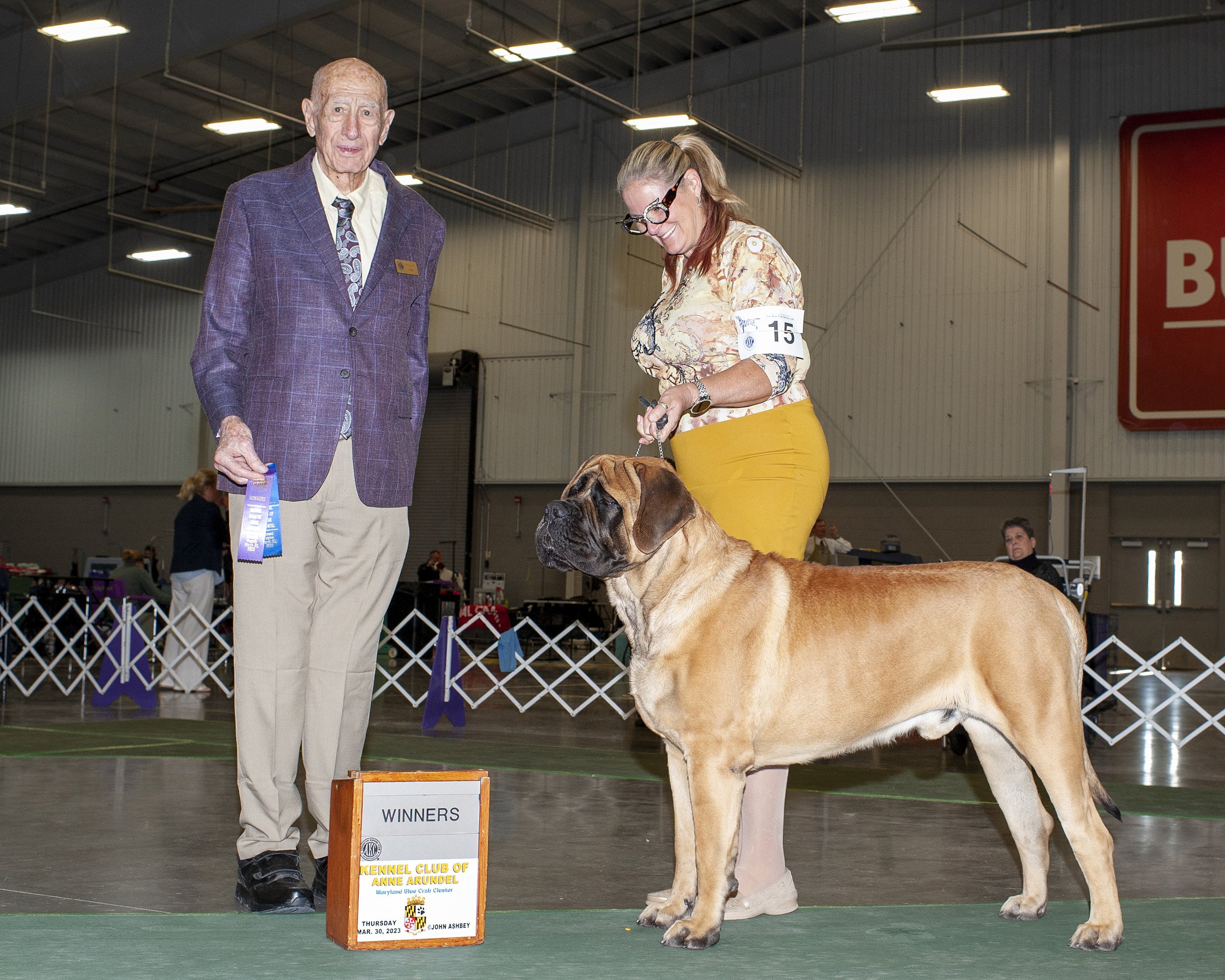 GCH CH Deer Creek's Cletus II "Cletus" - Image 4 of 14