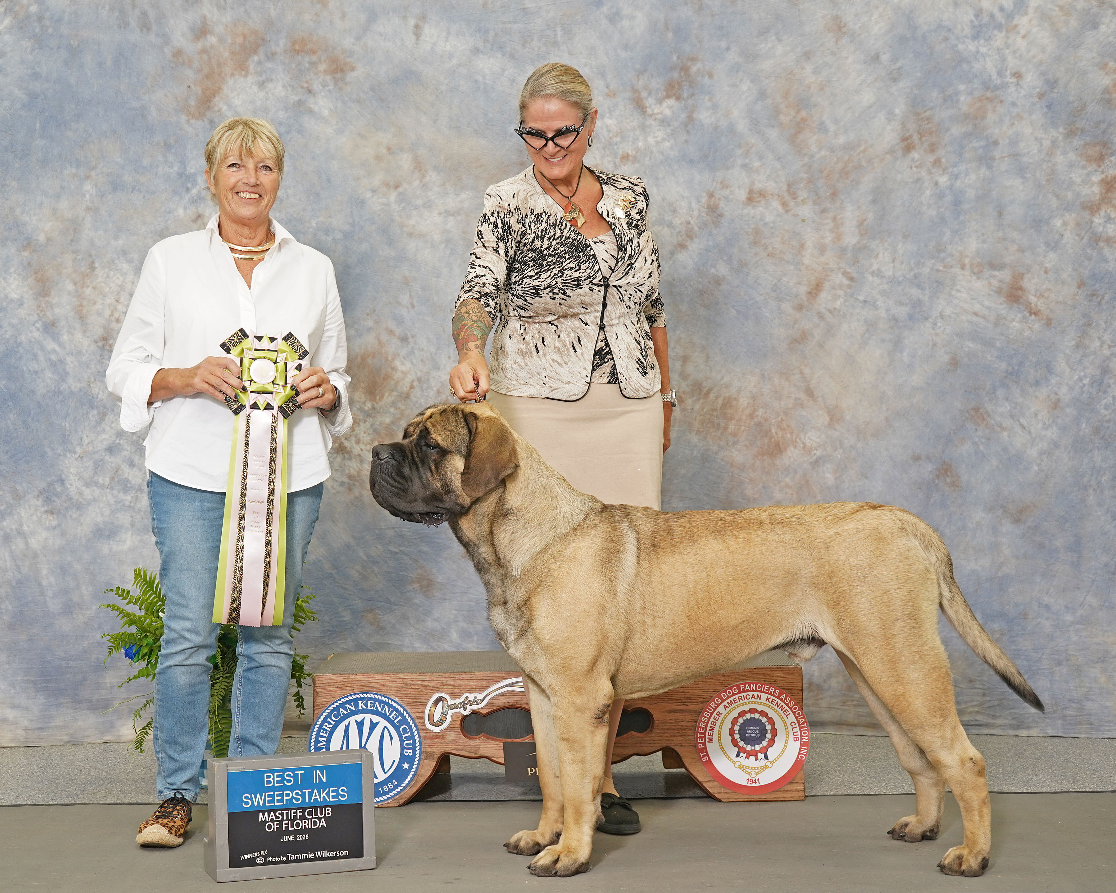 Deer Creek's Leader of the Pack at Cedar Hill "Ryder" - Image 4 of 5
