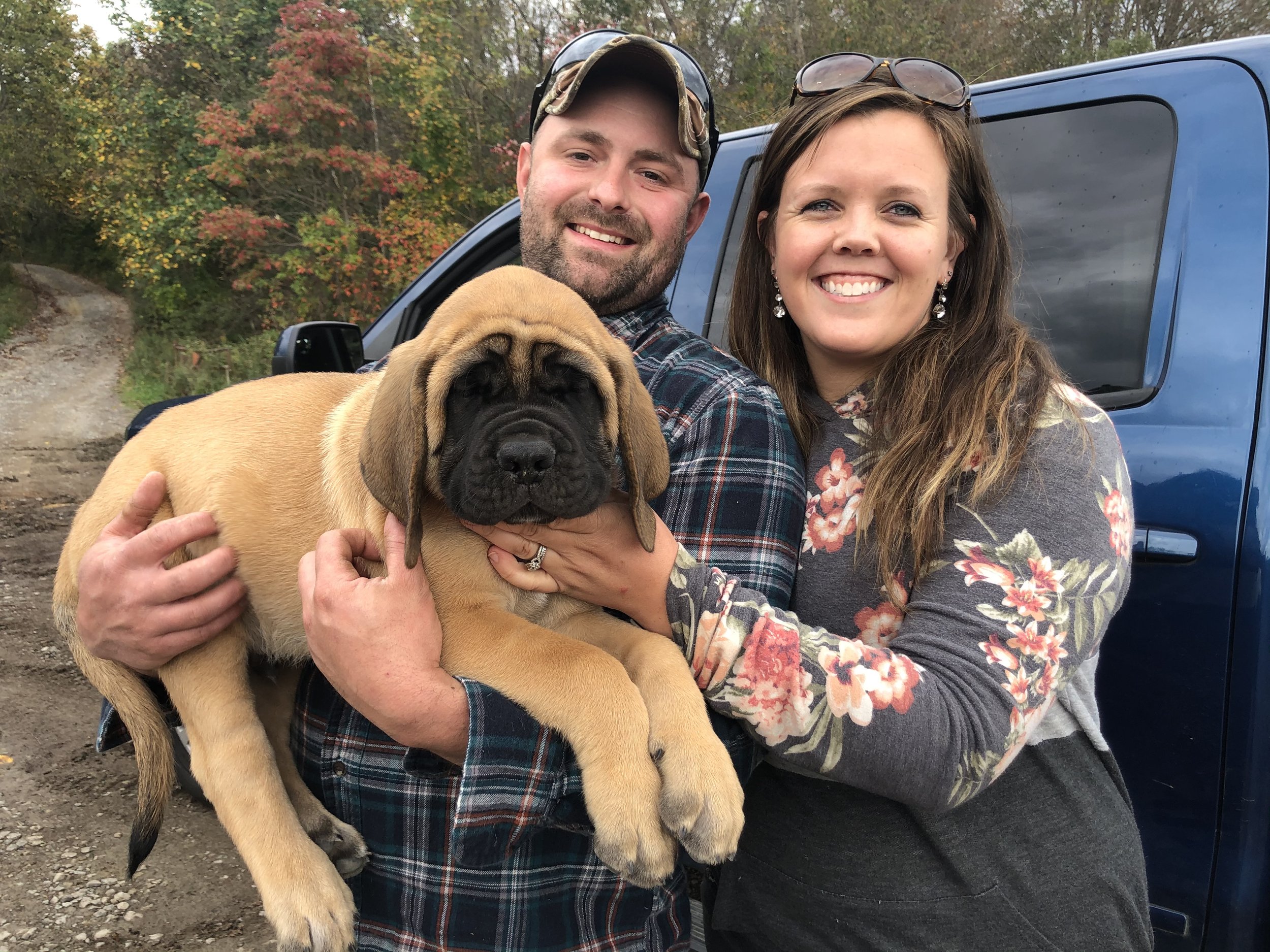GCH CH Deer Creek's Cletus II "Cletus" - Image 10 of 14